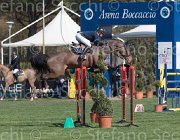 Offel Pour Le Poussage TosTour2013- S5 2395 : Arezzo, Arezzo Equestrian Centre, Offel Katarina, Pour le Poussage, Toscana Tour 2013, foto di Stefano Secchi ©
